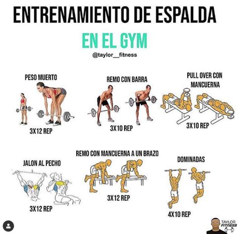 espalda trabajada mujer|Ejercicios para la espalda en mujeres para casa y gym